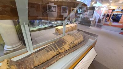 An actual mummy
