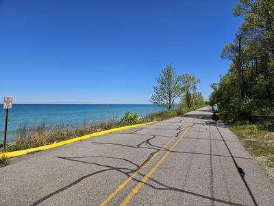 Along the shore