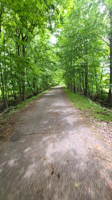 More bike trail