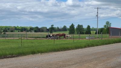 Horses