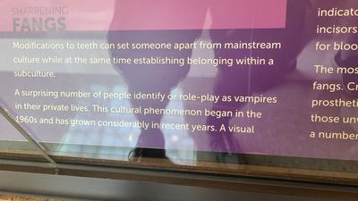Dentistry Museum