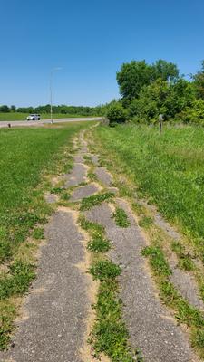 Impassible trail in Rouge Park